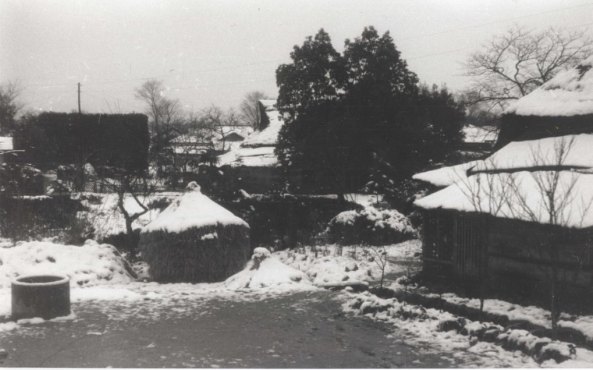 雪の我が家の庭 1951（2）