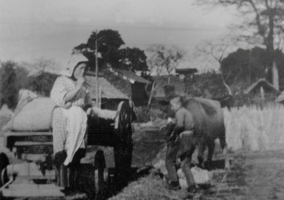 収穫-東光寺 1937