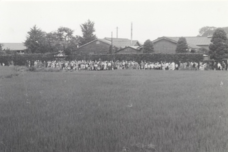 八坂神社の祭り 1955（22）宮神輿 - 藤野食品工場前