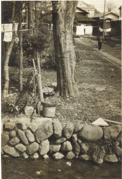 中島孝子家の南側 1950頃