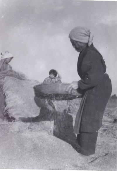 農作業 1941頃（2）篩