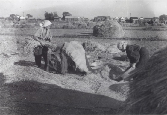 農作業 1941頃（3）脱穀