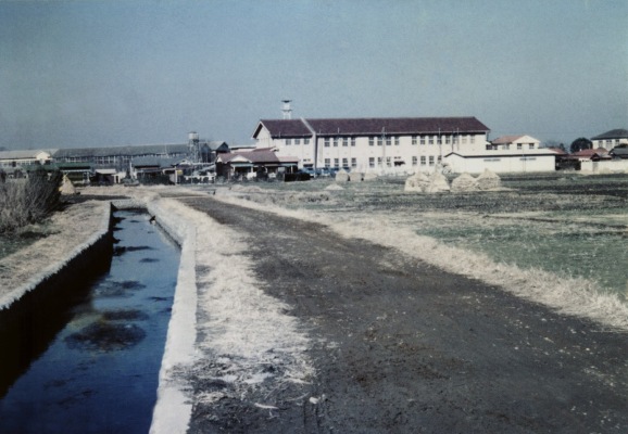 山下堀から日野町役場方面を望む 1963