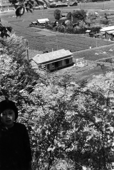 神明の台地の東端から仲井・日野町役場方面を望む 1952頃