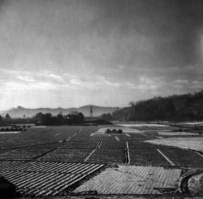 仲井地区方面を 北側から見る 昭和30年代初頭 日野市郷土資料館提供