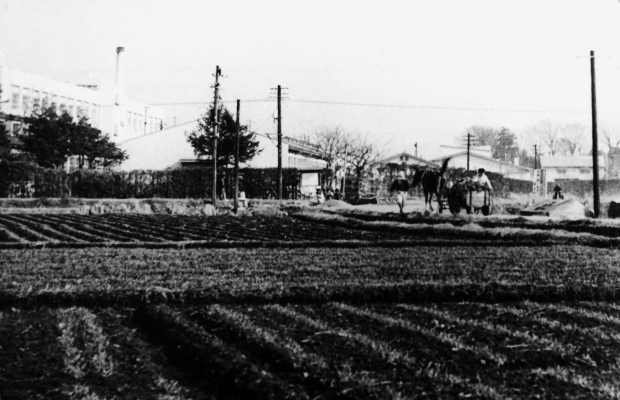 現日野郵便局 交差点付近 昭和30年代初頭 日野市郷土資料館提供