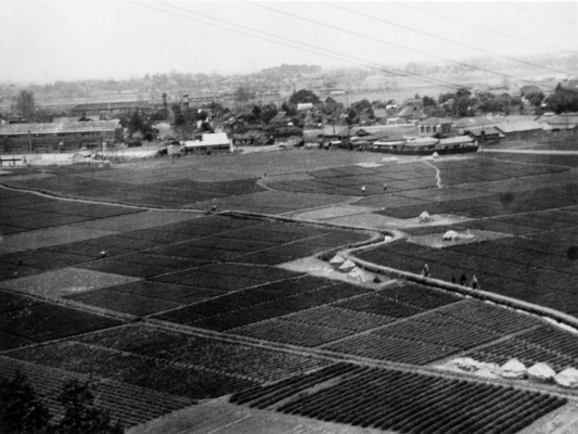 日野小の南側に広がる 田園風景 昭和20年代後半 日野市郷土資料館提供